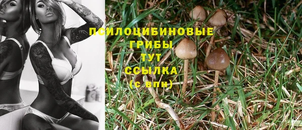 марки nbome Абаза
