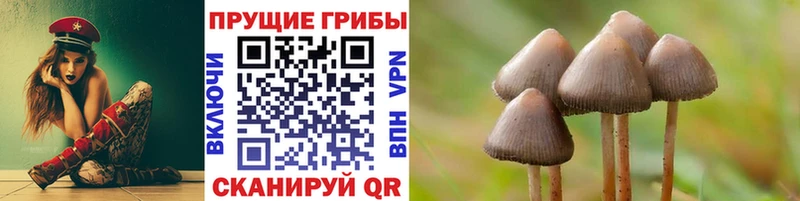 MEGA ссылка  купить закладку  Углегорск  Галлюциногенные грибы GOLDEN TEACHER 